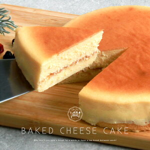 xCNh`[YP[L xCNh `[Y [ `[YP[L P[L z[P[L Z Z`[Y Mtg 5 15cm Ⓚ ⓀP[L mَq XC[c Xt fU[g 傫 傫 {[