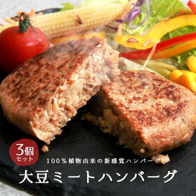 ハンバーグ 大豆ハンバーグ 大豆ミート 大豆 ヴィーガン ベジタリアン ギフト 3個 3個セット 90g 270g レトルト 温めるだけ 非常食 おかず 惣菜 セット ご飯のおとも 3人前 食品 マンナン大豆 グルテンフリー 合成着色料不使用 保存料不使用 人工甘味料不使用 植物由来