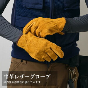 v U[O[u {v ϋv h Ɨp oCNp