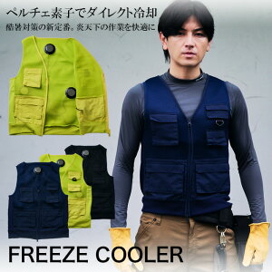 y`FxXg y`FfoCX pxXg ėpƕ  \ y`F 3 MǑ΍ AEghA PELTIER COOLING SYSTEM
