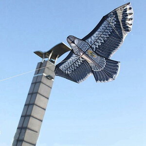 ŷ5%OFFzgJCg C[OJCg  ŗg yʃJCg 钹悯 JCg  _앨یpȋ |点쏜 h hb ΍p1.5m