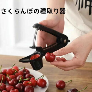 yTɂ5%OFFzI[u   ڂ̎ `F[sb^[  TN{ `F[ t[c WÂ ˎ  Ƃ  `F[̎픲 