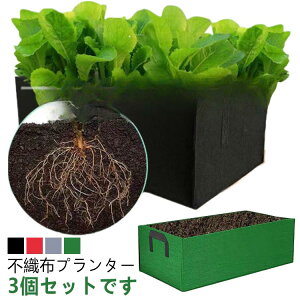 yTɂ5%OFFzsDz|bg ؍͔| sDzv^[ z ͔||bg diy v^[ ͔| tFg sDz|bg A Aؔ ړv^[ K[f ʋC A