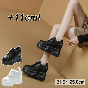 ySi2_5%OFFz Xj[J[ 10cm gup Xb| fB[X Cq[Xj[J[ EH[LO q[Abv C V[Y _CGbgXj[J[ PUU[ JWA  ₷