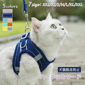 y31܂łɂ5%IzL  n[lX&[h   ^ ^ U o Ȃ  2_Zbg EȒP ȒP h~ q ^ EFA