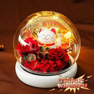 L t[ ͂Ȃ Cg  KN hCt[ KXh[ ̂ ^Abv ΂L u CeA  ܂˂˂ u ɐ  Vzj JXj