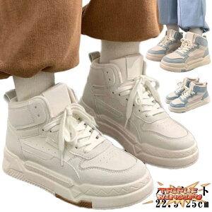 ySi2_5%OFFznCJbgV[Y nCJbg Xj[J[ fB[X rXj[J[ Xj[J[  y lC yXb|  Xj[J[ C  gAbv ʋ d ʊw w