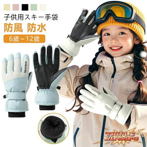 ySi2_5%OFFz N h O[u WjA Xm{ h XL[ 5{w q w XL[O[u Xm{ X|[c Xm[O[u