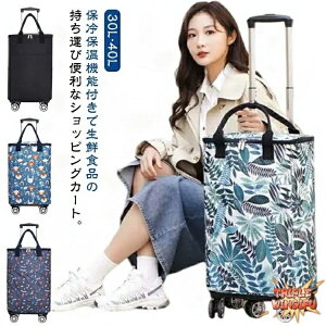 ySi2_5%OFFz܂肽 VbsOJ[g 4 5 y  30L 40L e J[g L[J[g ۉ ۗ H h  L[obO g[gobO GRobO L