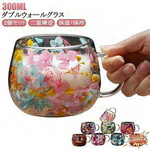 ySi2_5%OFFzMȂ t ^u[ d\ ϔMKX KX ϔM OX IȂ Rbv 2Zbg 300ml NA  ĒOX Lb`pi v[g ̓ M