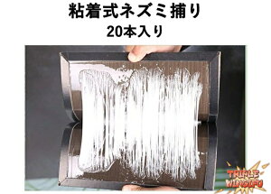 �y�S�i2�_��5%OFF�z�S�����l�Y�~�߂� �v���V�[�gA 1���i20�����j �ϐ����V�[�g �S���� �l�Y�~�ގ�