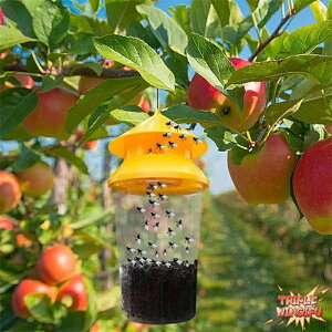 ySi2_5%OFFznG nGgbv 2_Zbg  OpnG nGgbvW[ nG쏜 OnGgbv qn ʎ [ _ 뉀 X { p ėp\