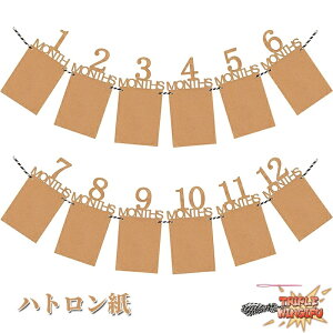 ySi2_5%OFFztHgt[ t 1 12 ʐ^K[h o[XfB p[eB[ j tHgt[ t Ǌ| ʐ^t[ ʐ^ LO Ԃ  Ђt