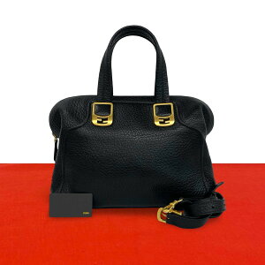 フェンディ(FENDI) カメレオン(CHAMELEON) 中古 バッグ | 通販・人気 