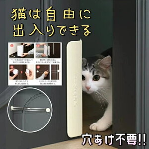 ybghA  sv LhA Hsv L hA t LphA phA  ^ ^ LbghA