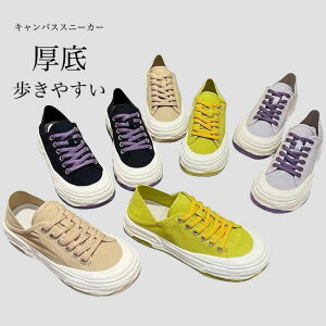 Xb| Xj[J[ fB[X LoXXj[J[ tbgV[Y RtH[gV[Y y  3cm K ʋC _ tbg C V[Y ~