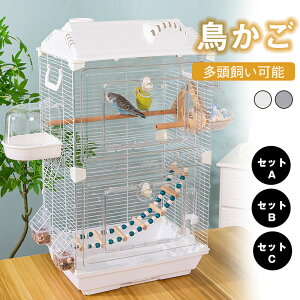  P[W ^ x  ؃P[W 傫  CR ANS X^hto[hP[W uRt  ZLZCCR JiA щؒ 