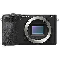 楽天市場】α6600 中古の通販 