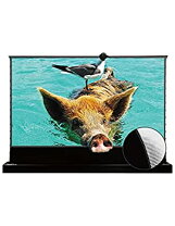 楽天市場】スクリーン 中古 100インチの通販
