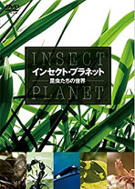 楽天市場】世界の昆虫（CD・DVD）の通販