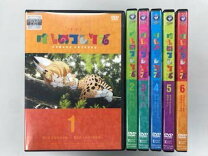 楽天市場】けものフレンズ 全6巻の通販