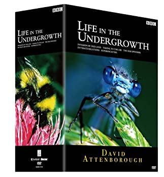 BBC ライフ・イン・ザ・アンダーグロウス/昆虫の世界 DVD BOXのサムネイル