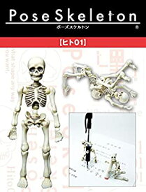 【中古】 ポーズスケルトン ヒト (1)