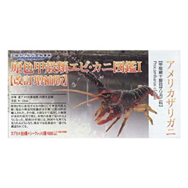 楽天市場 中古 タカラトミーアーツ 原色甲殻類エビ カニ図鑑1改訂増補版 アメリカザリガニ ガチャポン フィギュア バリューコネクト