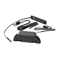 楽天市場】skysonic pro－1の通販 