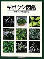 楽天市場】ギボウシ 図鑑の通販