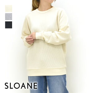 SLOANE X[ RbgbtZ~OTVc SL10W-T1055 fB[Xyi`/O[/ubNzyz