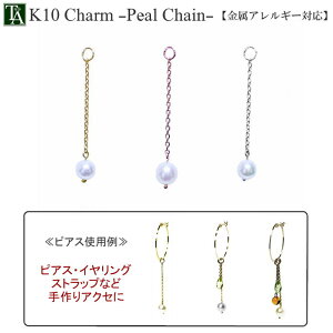 y1̔z p[c `[ p[`F[ AM[ K10YG K10PG K10WG 10K 10 Wp[ `F[ |  nhCh fB[X v[g Mtg