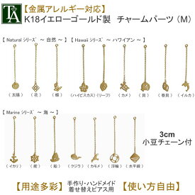 チャーム パーツ ピアス 18K K18YG 金属アレルギー アレルギー対応 ミディアム チェーン付き チェーン ゴールド アクセサリー かわいい おしゃれ 小さめ 小ぶり イルカ 貝 カメ ハワイアン 海 付け替え 揺れる K18 ハンドメイド レディース プレゼント ギフト 【1個販売】