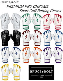 バッティンググローブ 野球 両手用 メンズ 一般 スポーツ Baseball gloves 左手 右手 ブルースボルト クローム ショート