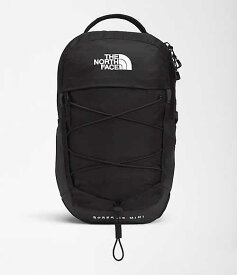 ノースフェイス レディース リュックサック The North Face Borealis Mini Backpack 10 Liters - TNF Black