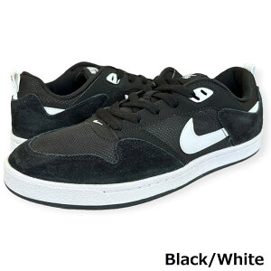 NIKE iCL SB Xj[J[ Y fB[X V[Y  40   j R oXP C j EH[LO ubN zCg