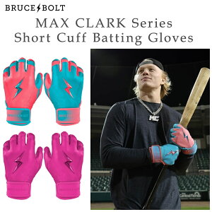 u[X{g obeBOO[u N[Nf V[g 싅 obeBO p Y  Z싅 X|[c Baseball gloves  E