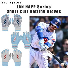 ブルースボルト バッティンググローブ ハップモデル ショート 野球 バッティング手袋 両手用 メンズ 一般 高校野球 スポーツ Baseball gloves 左手 右手