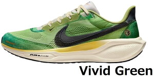 iCL Xj[J[ GA Y[ yKTX41 SE Y jOV[Y    air C\[ nike  y  TCY  ʊw