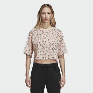 AfB_X IWiX fB[X adidas Originals LOVE REVOLUTION Crop T-Shirt Nbvh TVc  Multi