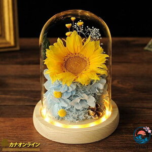�͂�Ȃ��� �v���U�[�u�h�t�����[ LED���C�g�t�� ������ �����L�O�� �K���X�h�[���t�� ���A���� ���� �K���X�|�b�g �ۑ��� �i���̉�