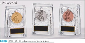 クリスタル トロフィー クリスタル楯 KW842/N-1
