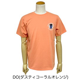 【SALE】THE NORTH FACE【ザ・ノース・フェイス】S/S Gear Patch Tee/ショートスリーブギアパッチティー Men's【NT32376】