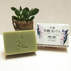 楽天市場 石鹸 乳児湿疹の通販