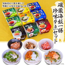 ＼着後レビューで割引クーポン贈呈／最高のご飯のお供！【磯蔵 海飯一膳・珍味9点セット】ねばねば めかぶ いか いくら めかぶ 紅鮭 珍味 いかさし 明太子 刺身 いか 松前 ギフト 詰合せ 惣菜 宮城 贈答 家飲み つまみ 人気 朝ご飯 買い回り 39ショップ お買い物マラソン