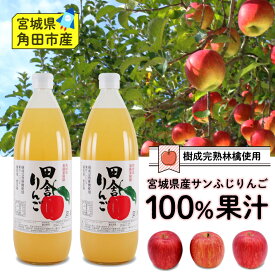 スーパーSALE！10%OFF！完熟りんごがすっきり甘い【果汁100％ ストレート 田舎りんごジュース 2本】農家直送 直送 宮城 角田市 国産 完熟 りんご リンゴ ジュース サンふじ 健康食品 ギフト お取り寄せ 特産品 贈答 お歳暮 年末年始 着後レビューで割引クーポン！