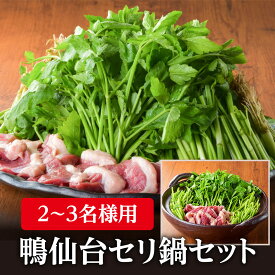 ＼着後レビューで割引クーポン贈呈／厳選した名取市産せりは新鮮そのもの【鴨肉仙台セリ鍋セット　2、3人前】 浜や 名取 閖上 まるしげ 郷土料理 漁亭浜や せり せり鍋 野田鴨 出汁 鍋 温かい お取り寄せ 買い回り お買い物マラソン スーパーセール 春 期間限定 ご当地グルメ