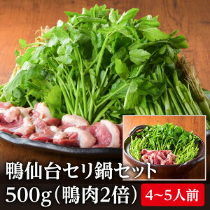 �_���ヌ�r���[�Ŋ����N�[�|������^���I��������s�Y����͐V�N���̂��́y�������Z����Z�b�g500g�i����2�{�j�z �l�� ���� �|�� �܂邵�� ���y���� �����l�� ���� ����� ��c�� �o�` ��