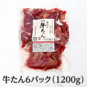 _ヌr[ŊN[|^|̊CグuCvŋɍō̉y؂䋍6pbNi1200gjz 1.2kg l  | ܂邵 y l 