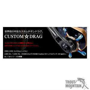 y񂹁zuiKebNjCUSTOM DRAGiJX^hOj